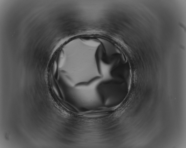 X0000091561412200709071117