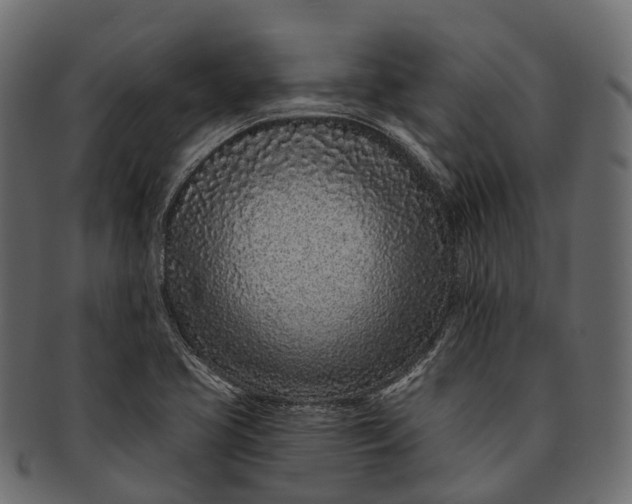 X0000091561413200709071117