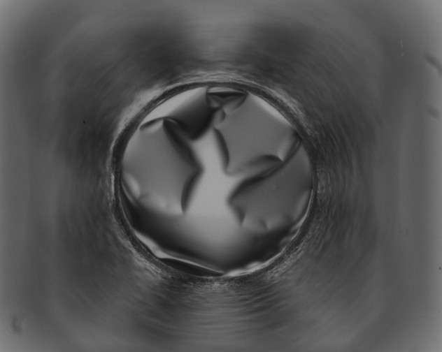 X0000091561414200709071117