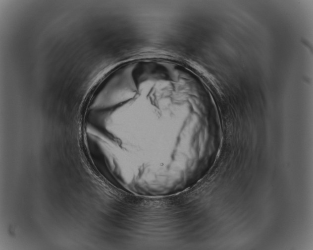 X0000091561415200709071117