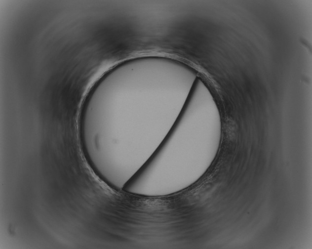 X0000091561416200709071117