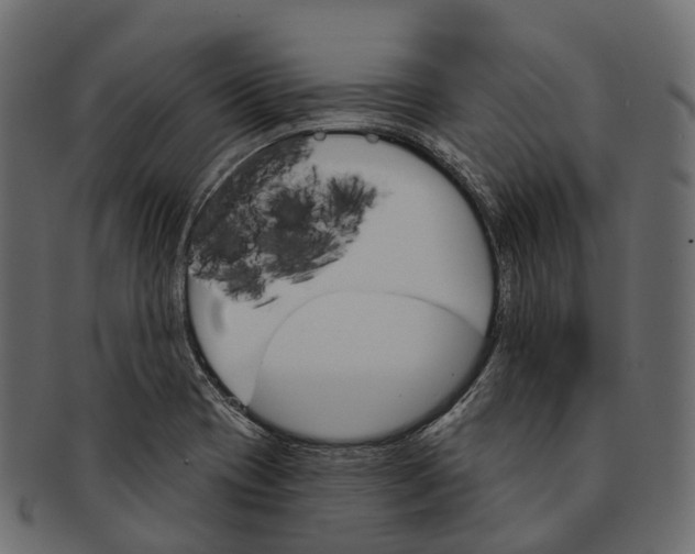 X0000091561417200709071117