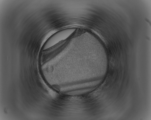 X0000091561418200709071117