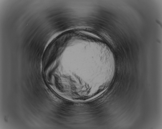 X0000091561420200709071117