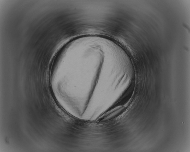 X0000091561421200709071117