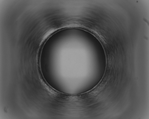 X0000091561422200709071117