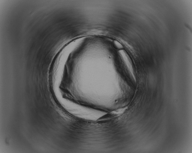 X0000091561423200709071117