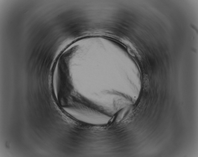 X0000091561424200709071117