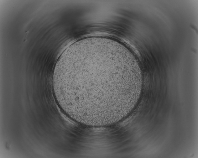 X0000091561425200709071117