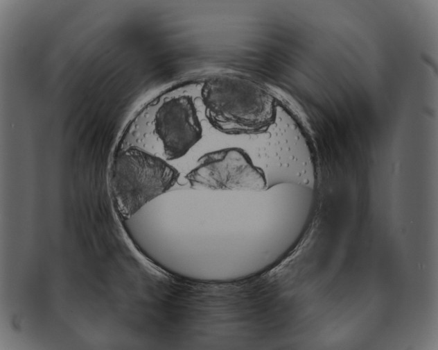 X0000091561429200709071117