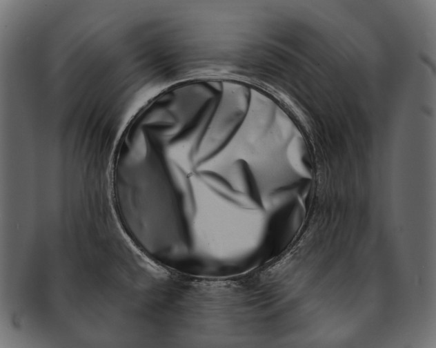 X0000091561432200709071117