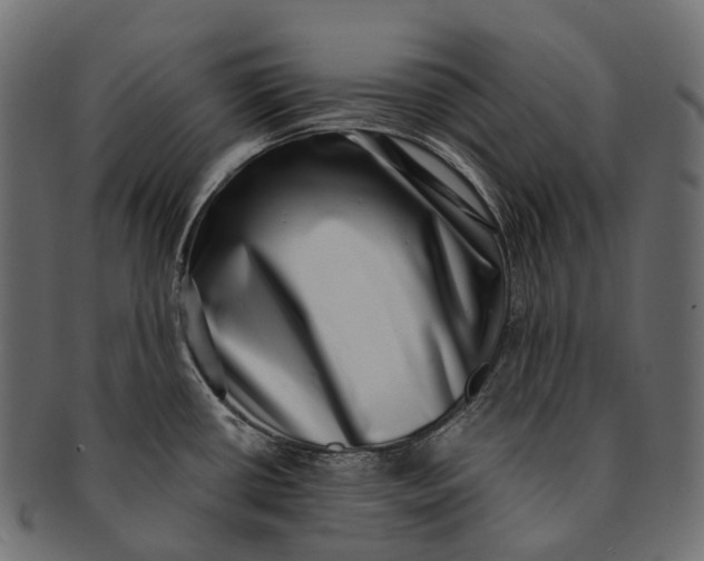 X0000091561434200709071117