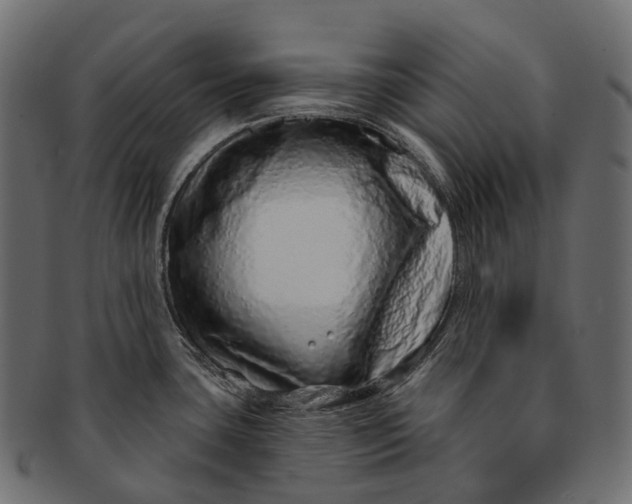 X0000091561435200709071117