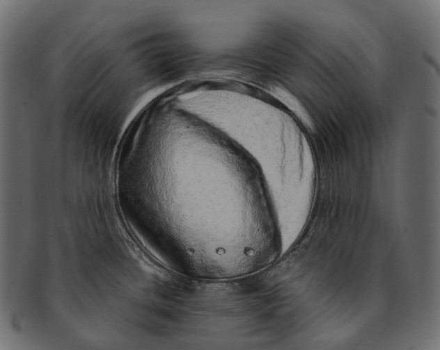 X0000091561436200709071117