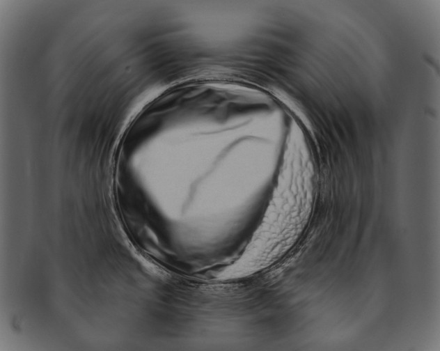 X0000091561437200709071117