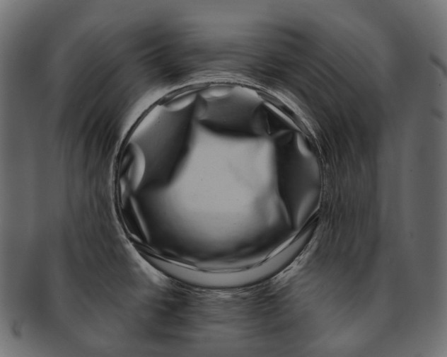 X0000091561438200709071117