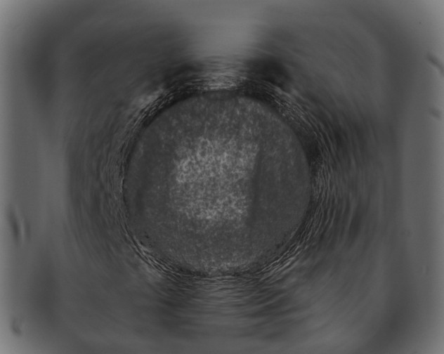 X0000091561441200709071116