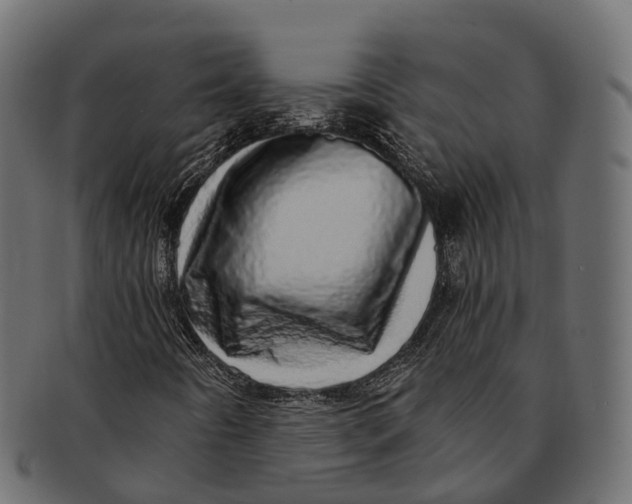 X0000091561442200709071116