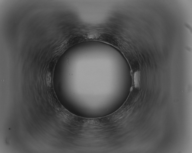 X0000091561443200709071116