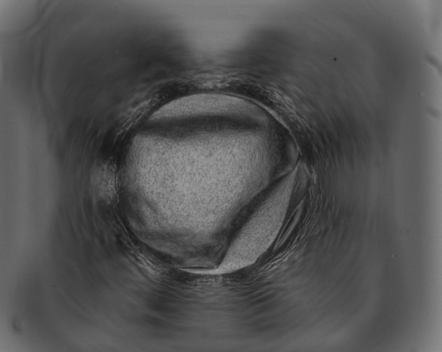 X0000091561444200709071116