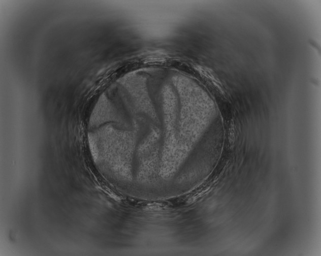 X0000091561445200709071116