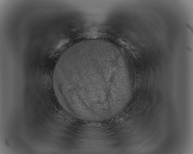 X0000091561446200709071116