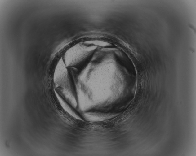 X0000091561448200709071116