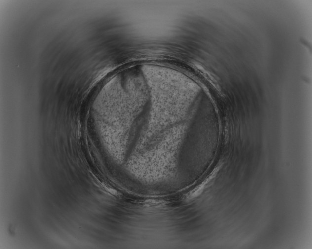 X0000091561449200709071116