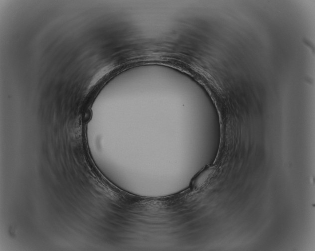 X0000091561450200709071116