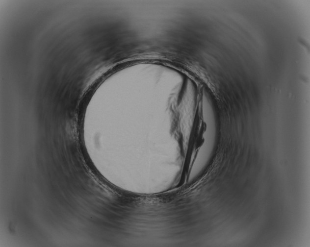 X0000091561452200709071116