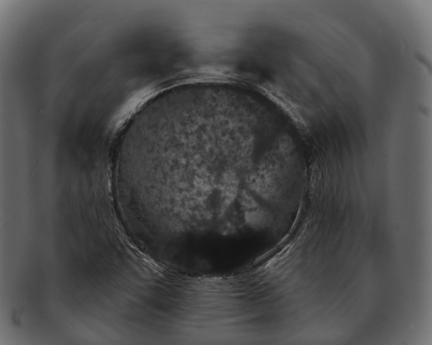 X0000091561455200709071116