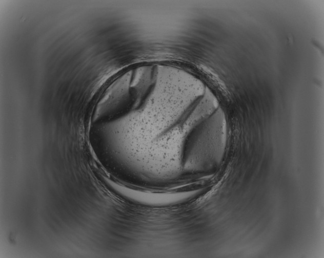 X0000091561457200709071116