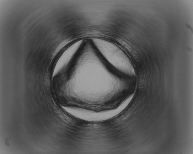 X0000091561458200709071116