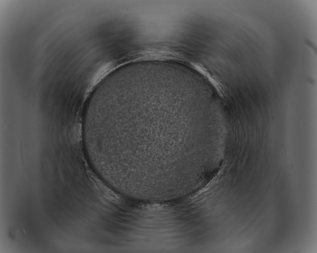 X0000091561459200709071116