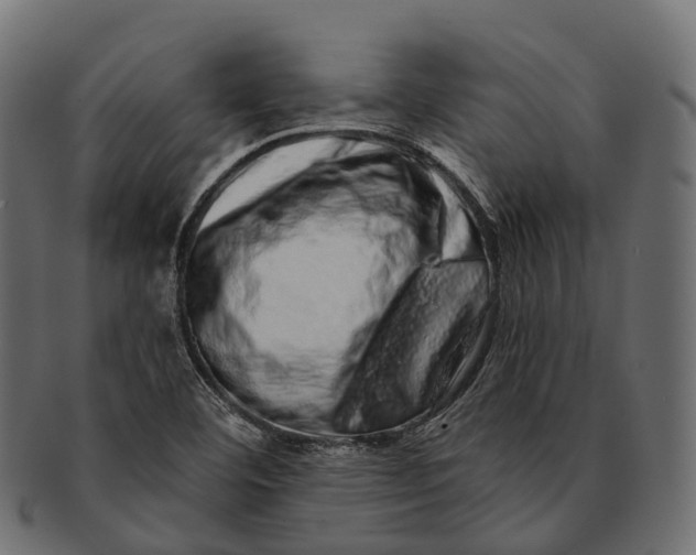 X0000091561460200709071116