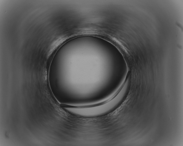 X0000091561461200709071116