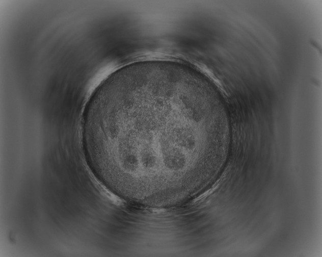 X0000091561463200709071116