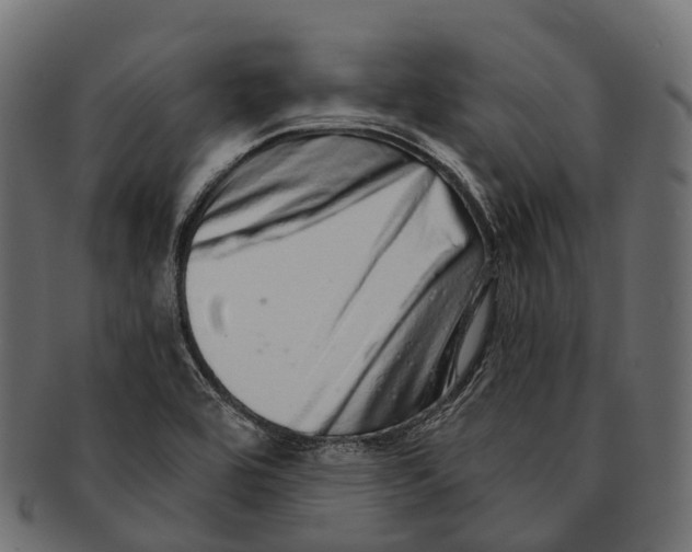 X0000091561464200709071116