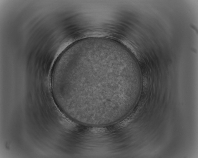 X0000091561466200709071116