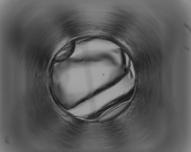 X0000091561467200709071116