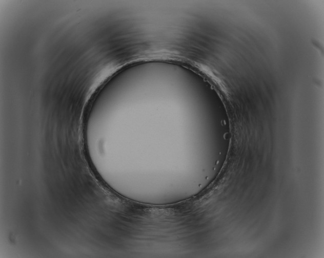 X0000091561469200709071116