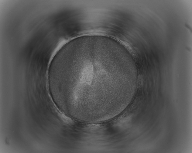 X0000091561470200709071116