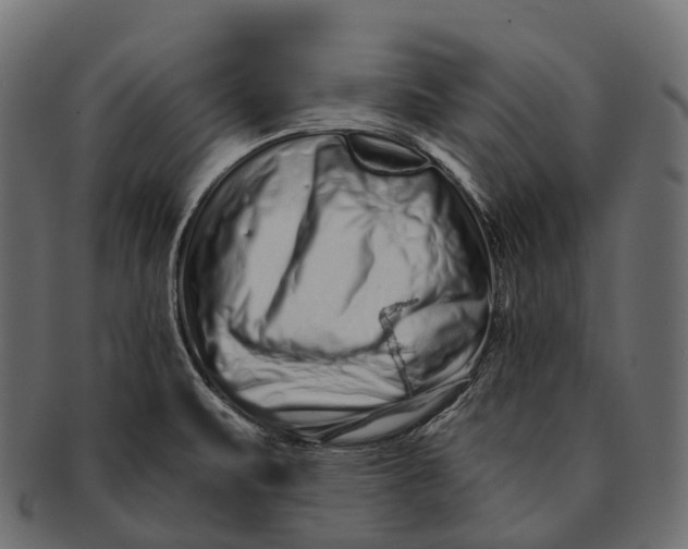 X0000091561471200709071116