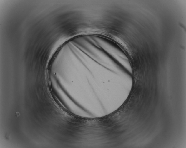 X0000091561472200709071116