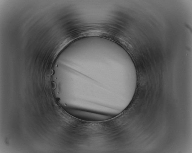 X0000091561473200709071116