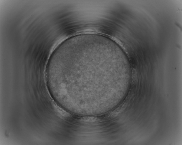 X0000091561474200709071116