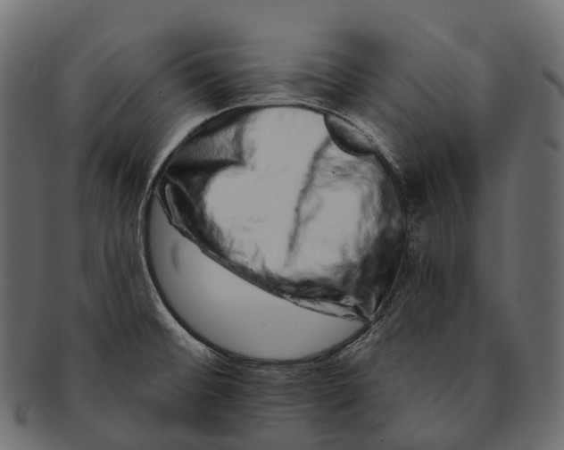 X0000091561476200709071116