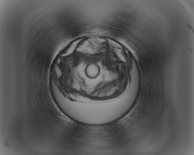 X0000091561477200709071116