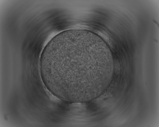 X0000091561478200709071116