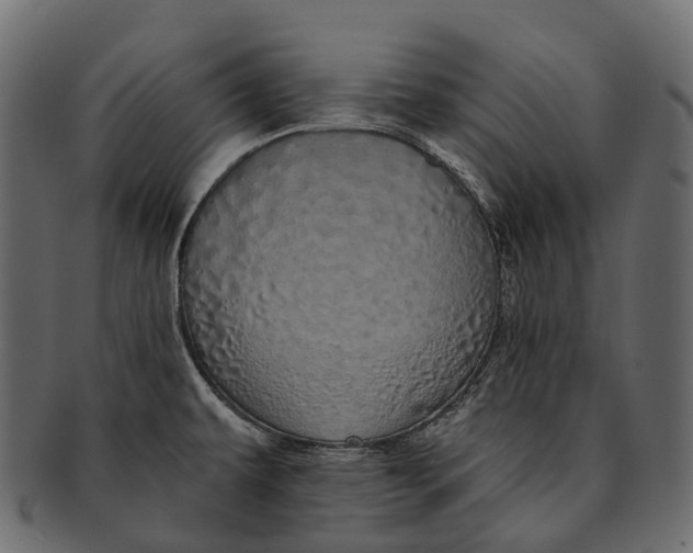 X0000091561479200709071116